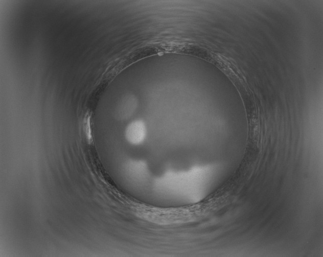 X0000084030042200702232310