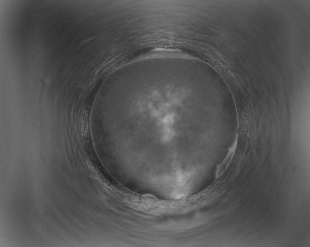 X0000084030043200702232310