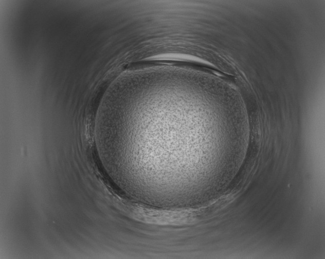 X0000084030044200702232310