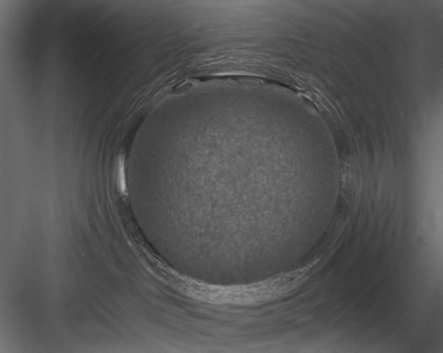 X0000084030046200702232310