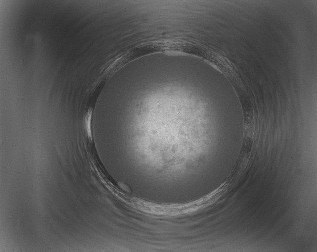 X0000084030047200702232310