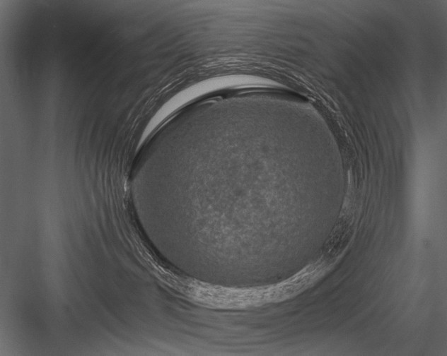 X0000084030048200702232310