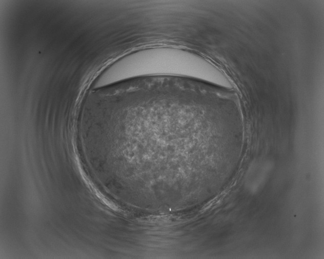 X0000084030049200702232309