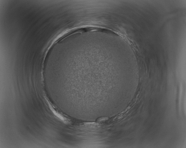 X0000084030050200702232309