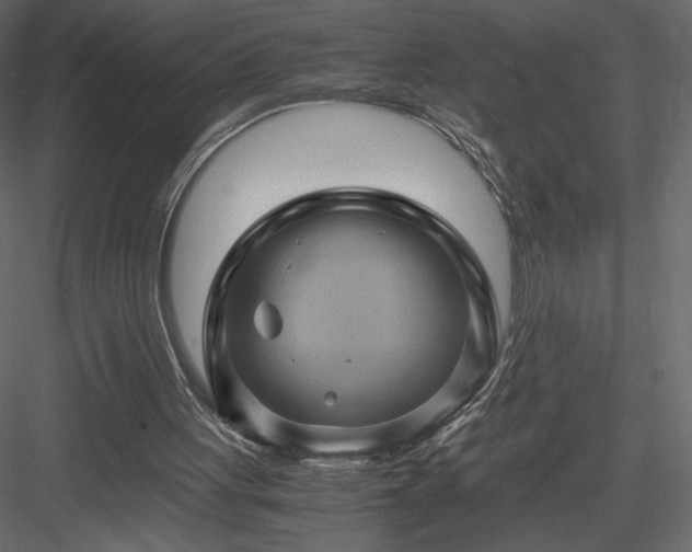 X0000084030051200702232309