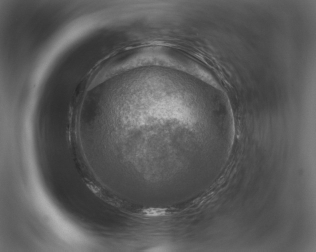 X0000084030052200702232309