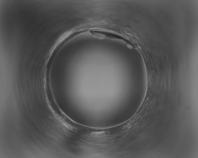 X0000084030054200702232309