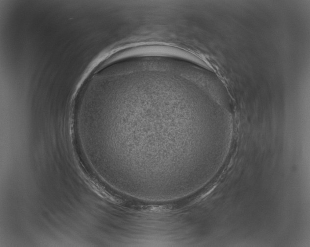 X0000084030056200702232309