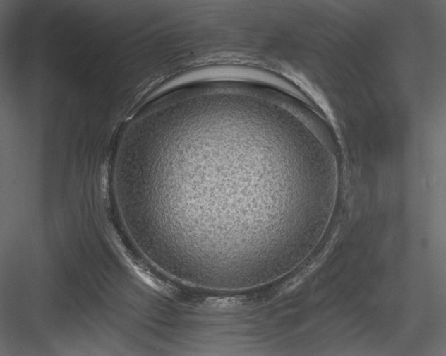 X0000084030057200702232309