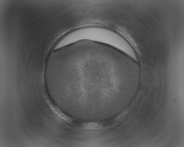 X0000084030058200702232309