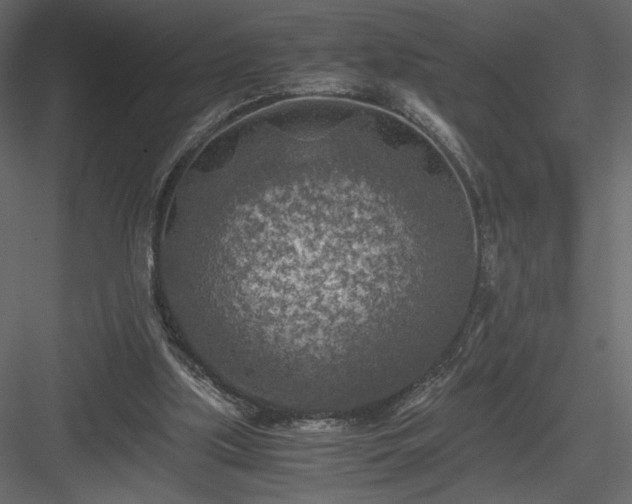 X0000084030059200702232309