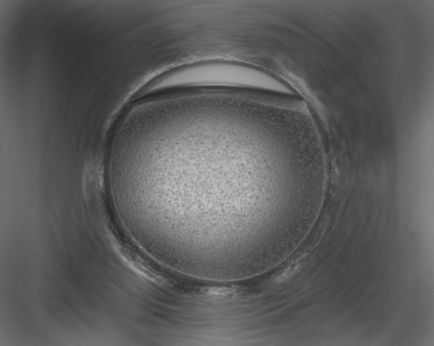 X0000084030060200702232309