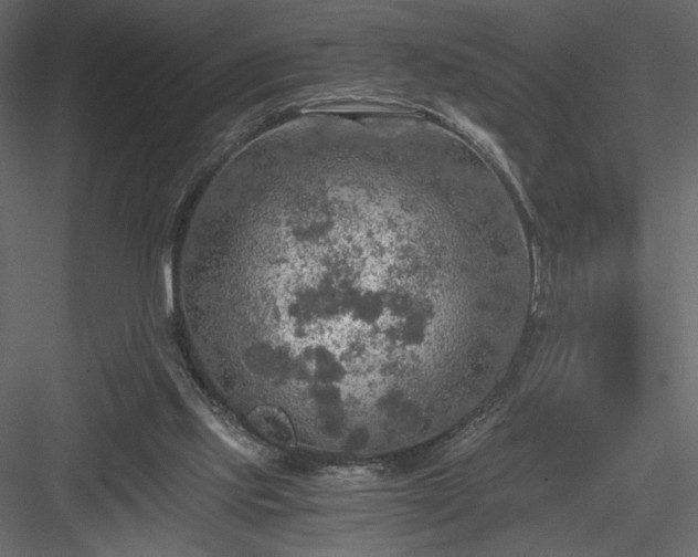 X0000084030061200702232309