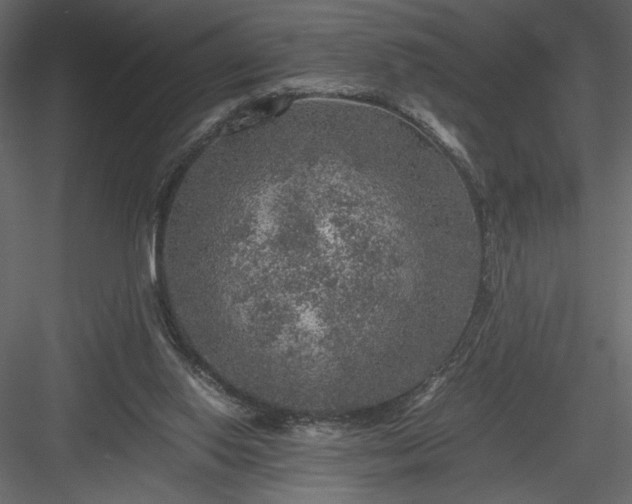 X0000084030062200702232309