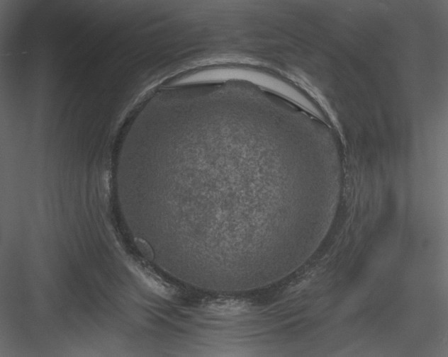 X0000084030063200702232309