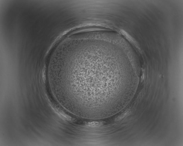 X0000084030064200702232309