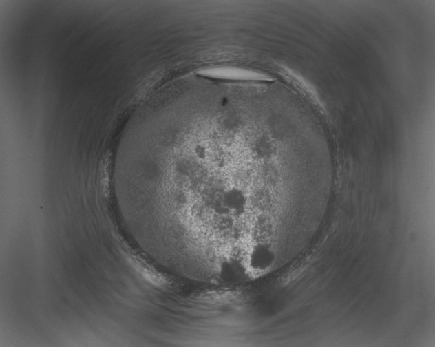 X0000084030065200702232309