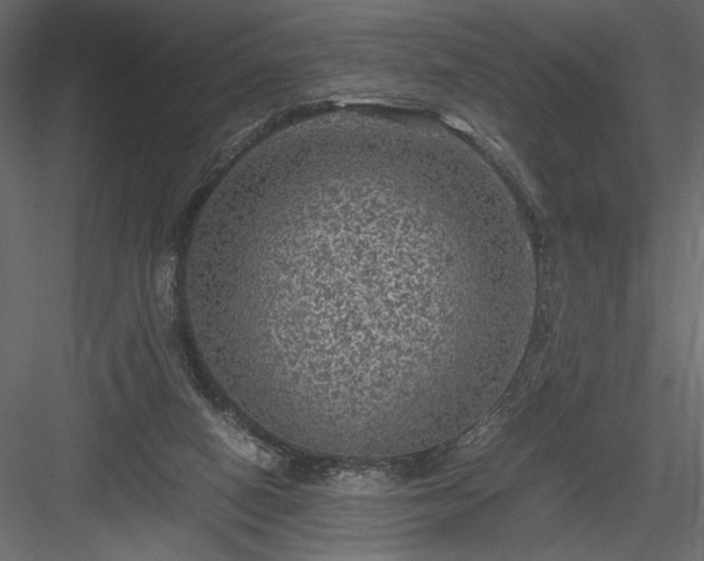 X0000084030066200702232309