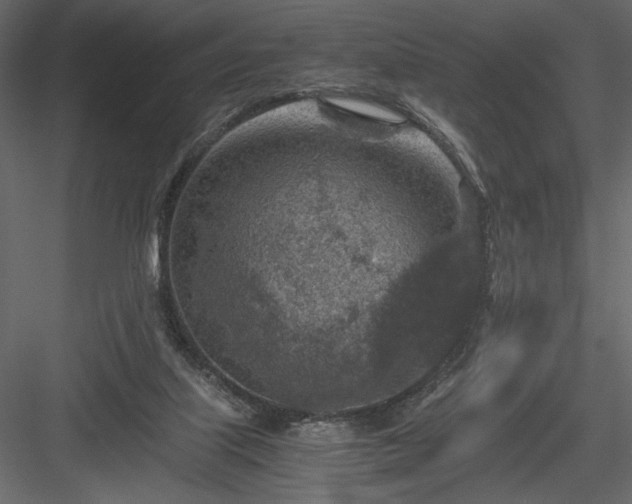 X0000084030067200702232309