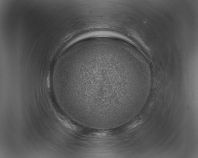 X0000084030068200702232309