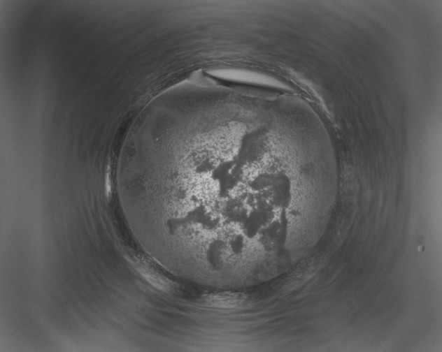 X0000084030069200702232309