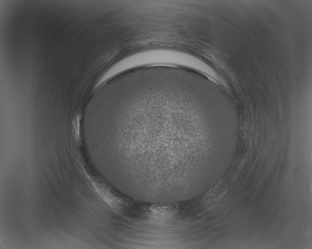 X0000084030070200702232309