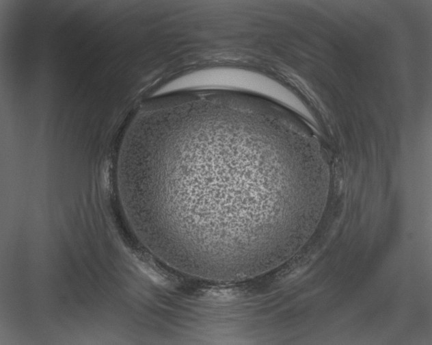 X0000084030071200702232309