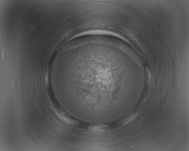 X0000084030072200702232309