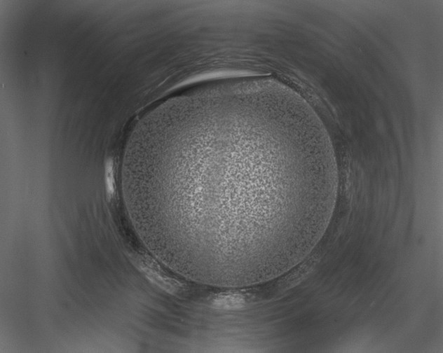 X0000084030075200702232309