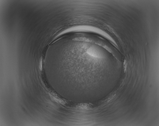 X0000084030076200702232309