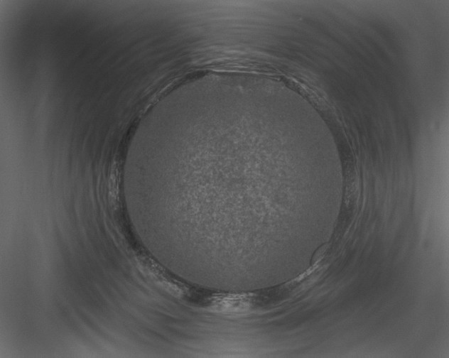 X0000084030078200702232309