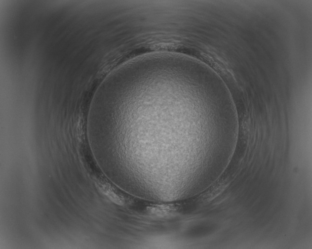 X0000084030079200702232309