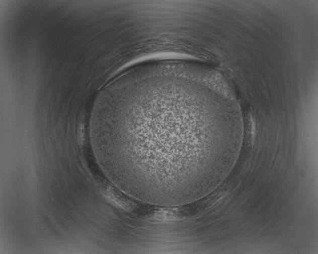 X0000084030080200702232309