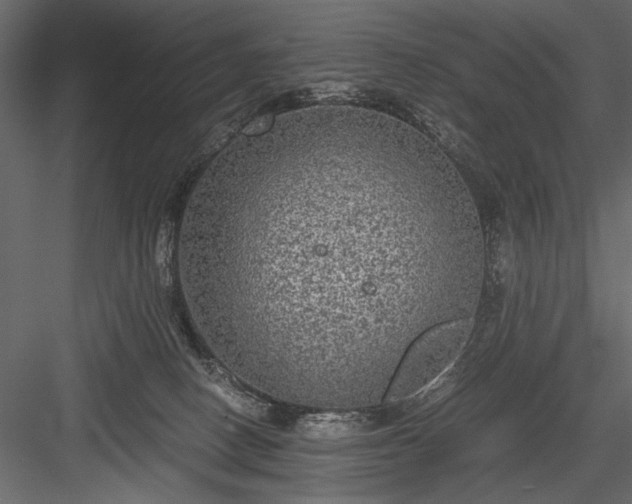 X0000084030082200702232309