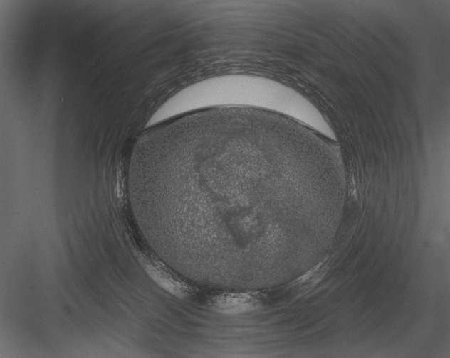 X0000084030086200702232309