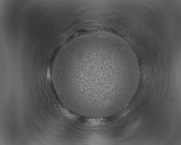 X0000084030089200702232309