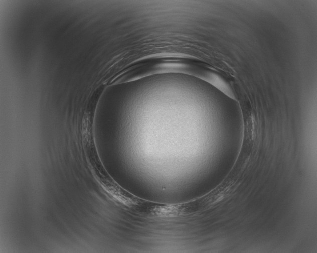 X0000084030092200702232310