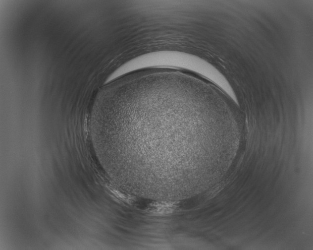 X0000084030093200702232310