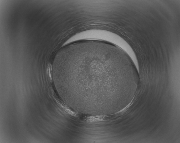 X0000084030094200702232310