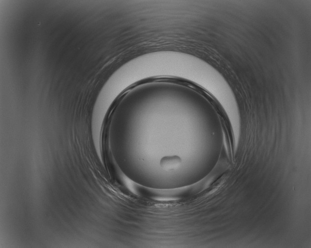 X0000084030095200702232310