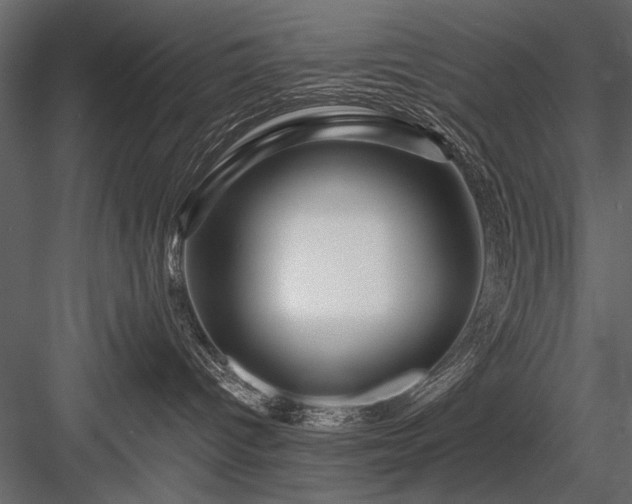 X0000084030096200702232310