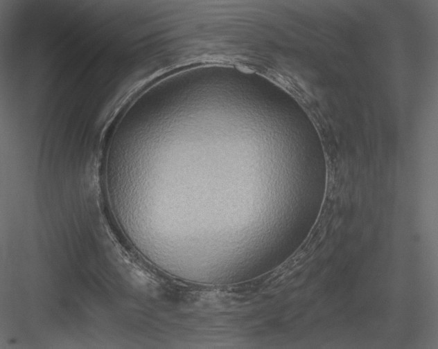 X0000084030098200702232309