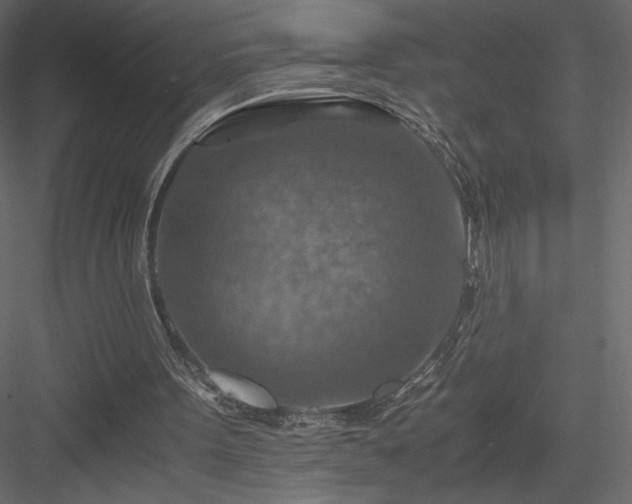 X0000084030099200702232309