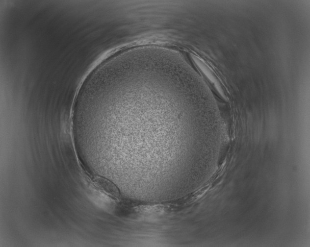 X0000084030100200702232309