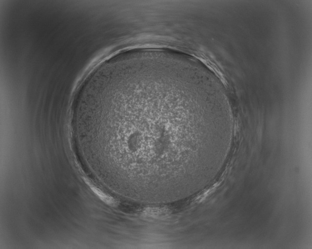 X0000084030101200702232309