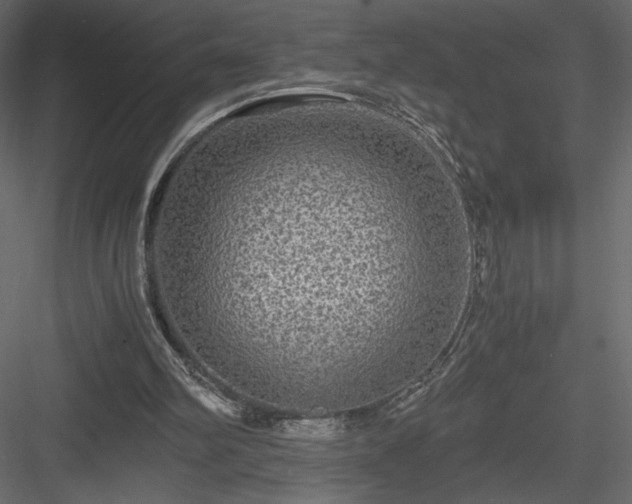 X0000084030102200702232309