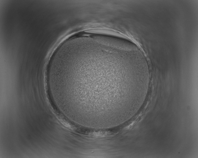 X0000084030103200702232309