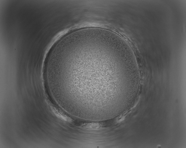 X0000084030104200702232309