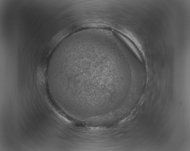 X0000084030105200702232309