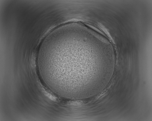 X0000084030106200702232309